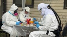 hantavirus