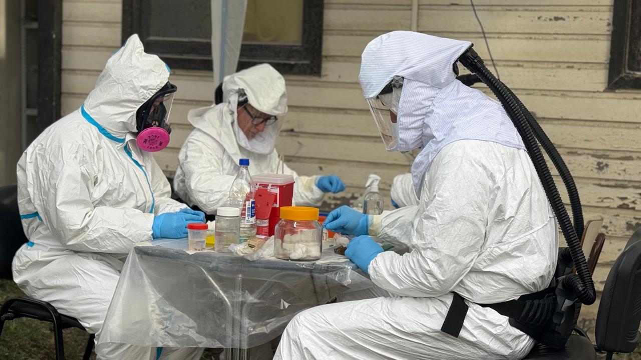 La variante de Hantavirus vinculada al crucero no circula en Ushuaia