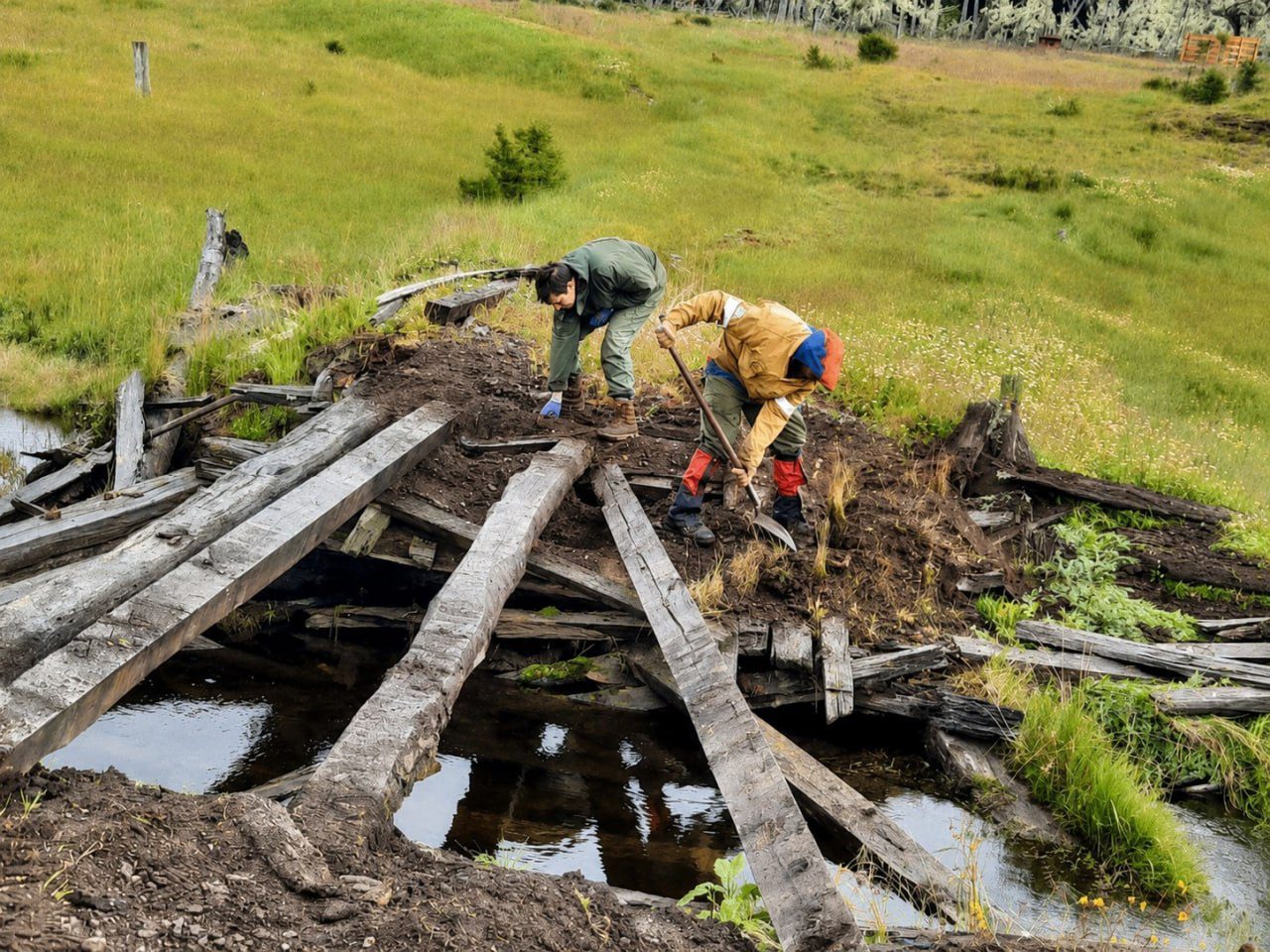 Declaran de interés ambiental la restauración del Corazón de la Isla