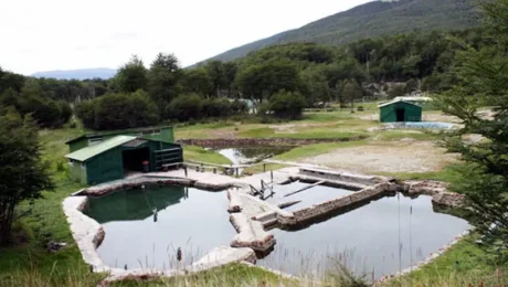 termas rio valdez