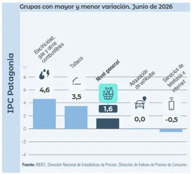 ipc patagonia junio 2026 grupos Grupos con mayor y menor variación del IPC de la Patagonia en junio de 2026
