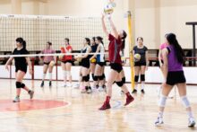 voley