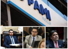 pami po collage.png